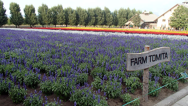 ファームとみた